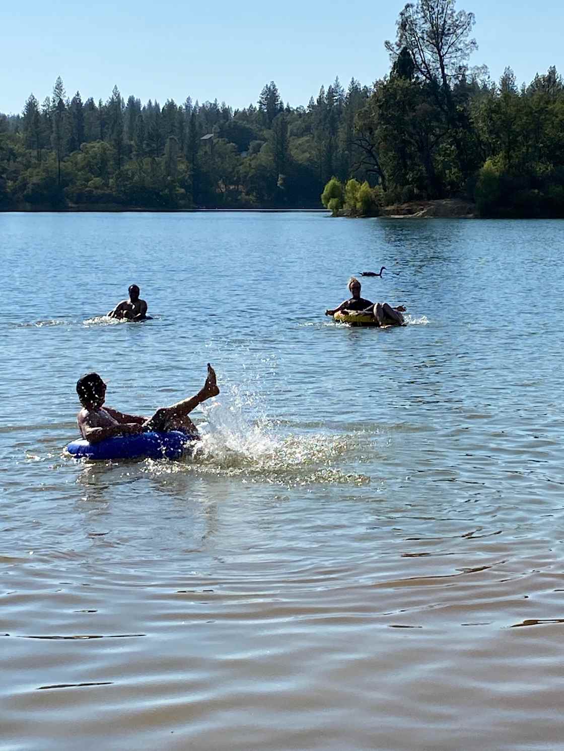 Erik B.’s Land Hipcamp in Dobbins, California