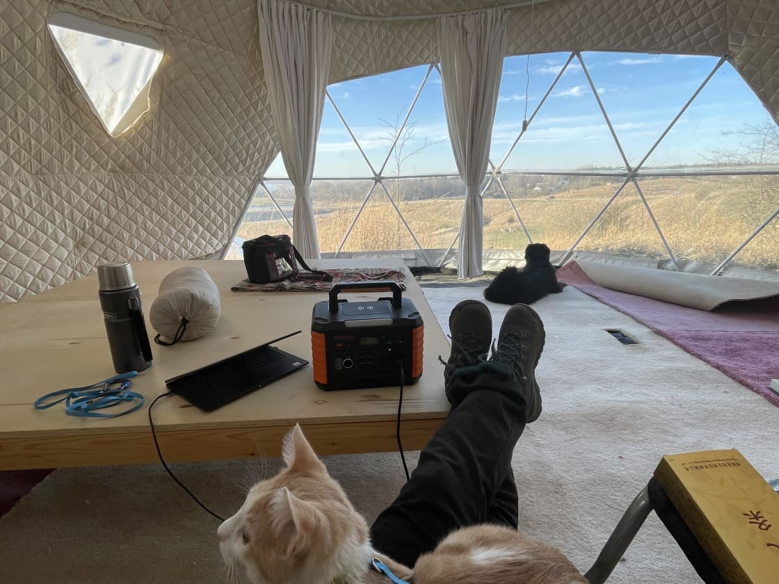 Pets are allowed in this fantastic geodesic tent. Sit inside the tent, work through cell phone hot spot.   
