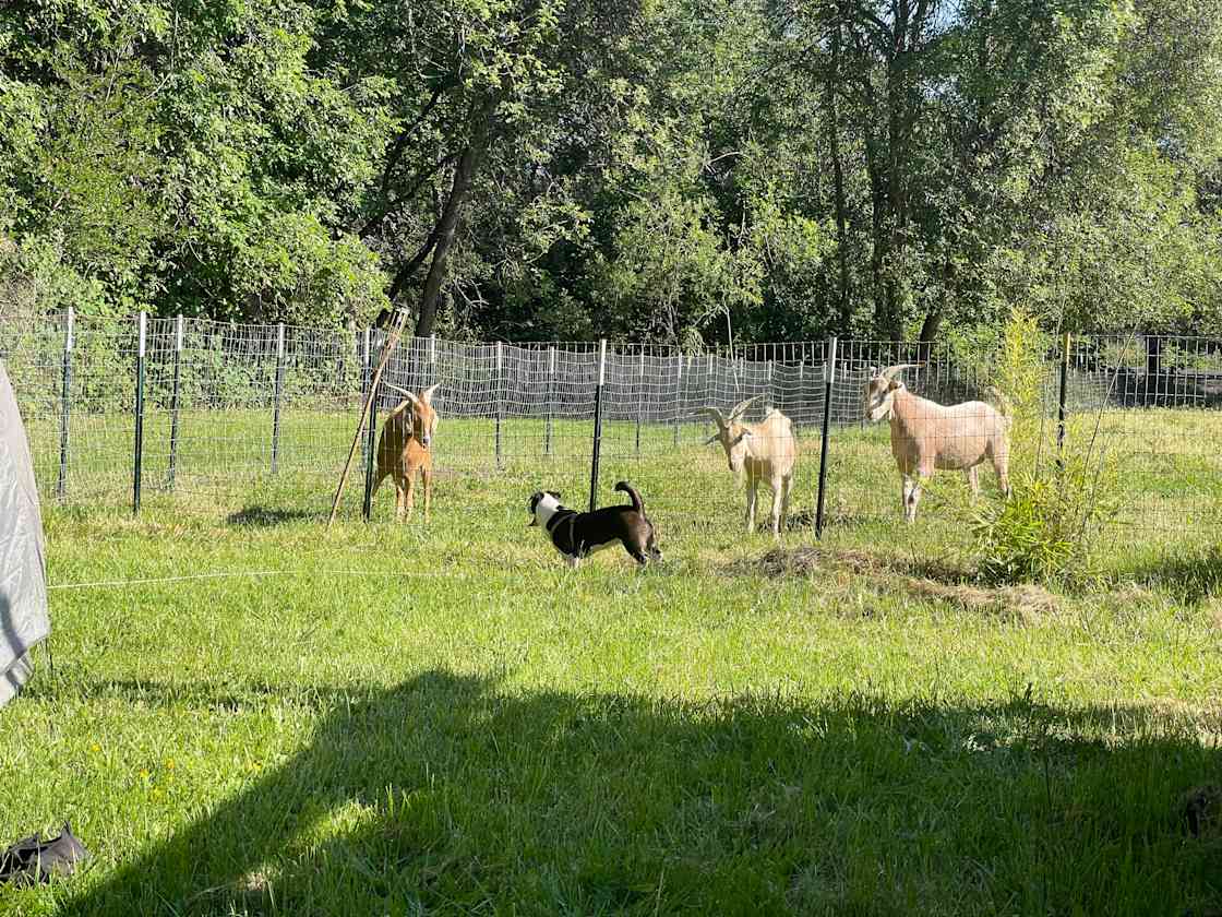 Pioneer Glamping Hipcamp in Medford, Oregon
