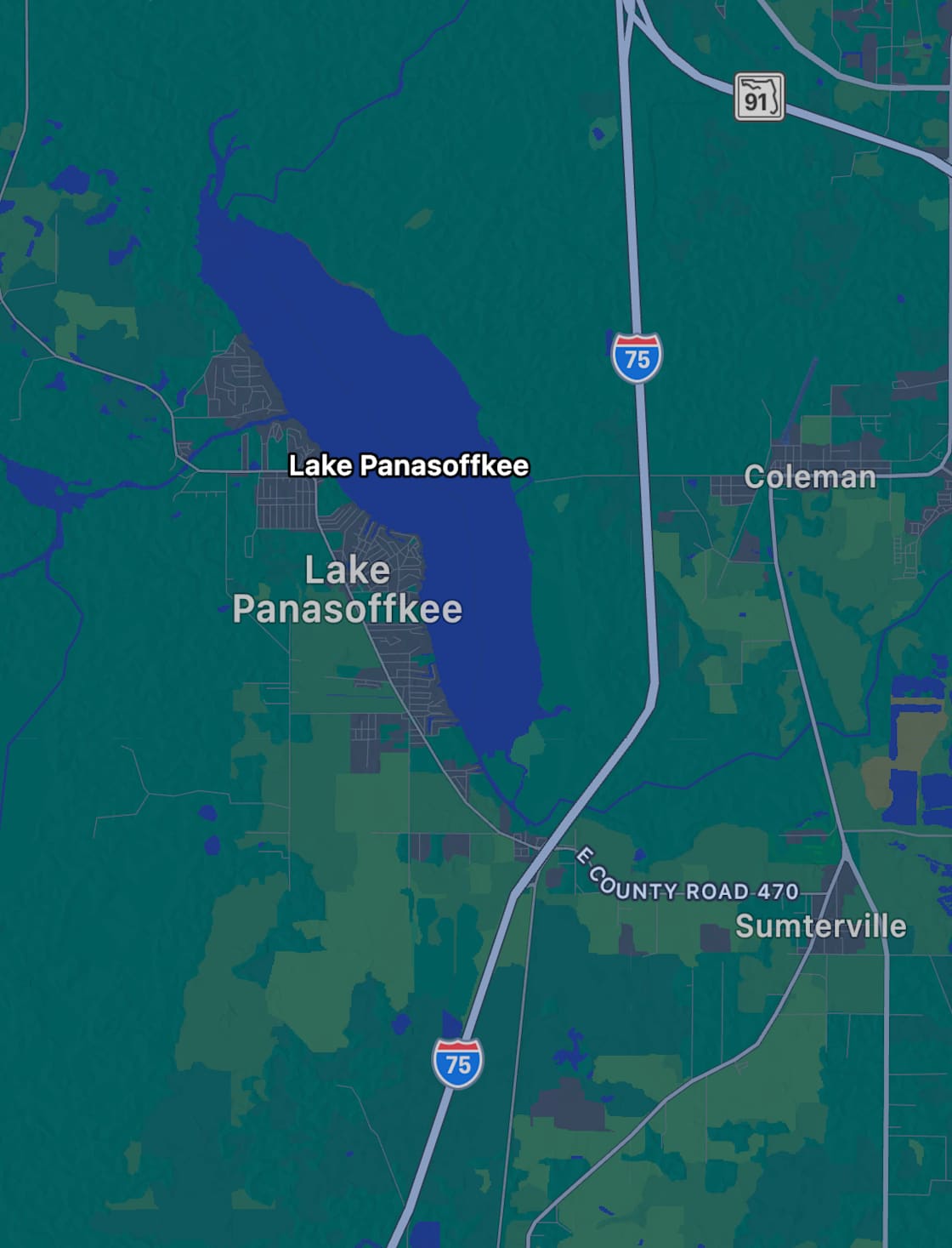 The perfect Hwy 75 Pitstop Hipcamp in Lake Panasoffkee, Florida