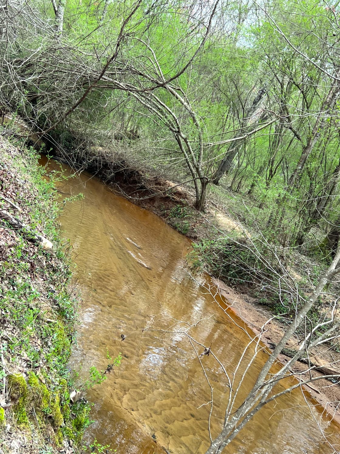 Creek on the property
