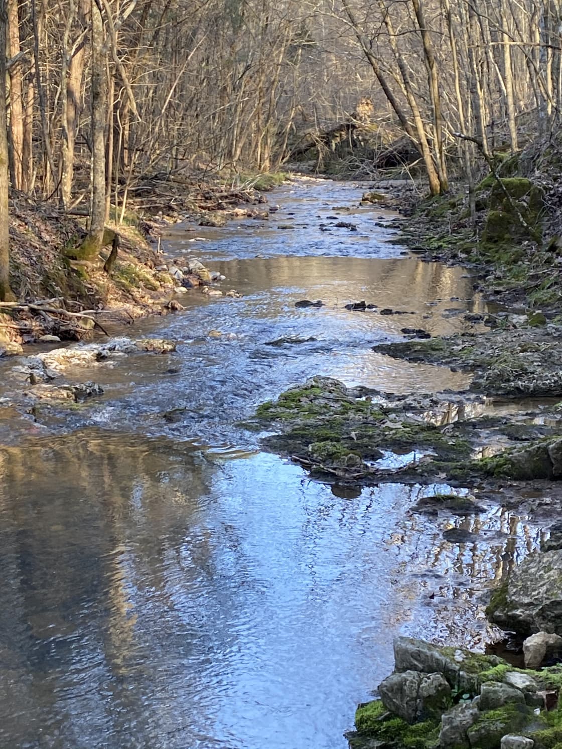 Water from springs on its way to Mill Creek