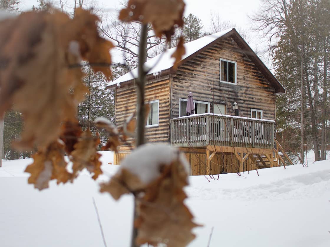 Juniper Cabin after the snowfall.