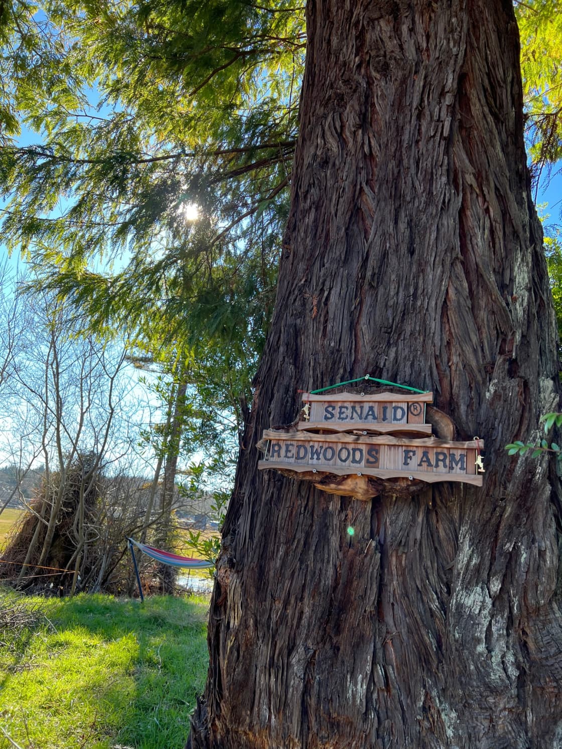 Redwoods Hostel & Campground