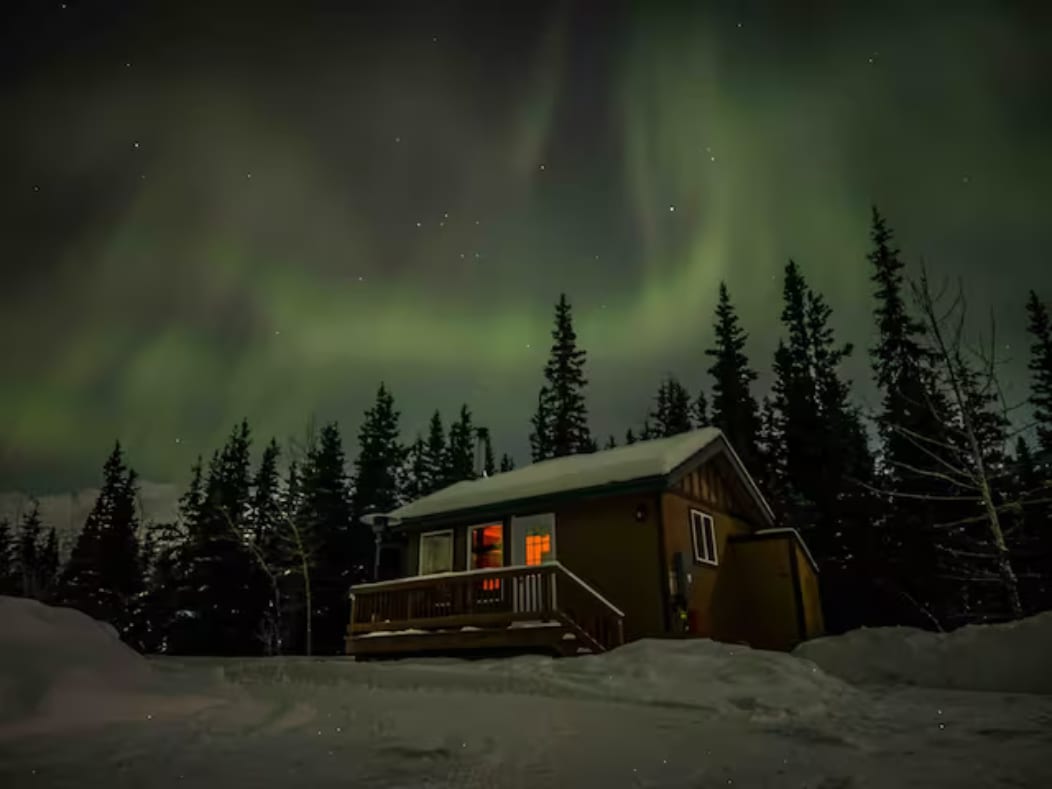 Don't pay for a tour from Anchorage that will bring you to stand along the road in the cold near the cabin when you can enjoy them while staying warm!