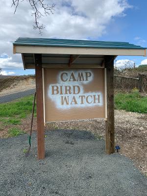 Camp Birdwatch