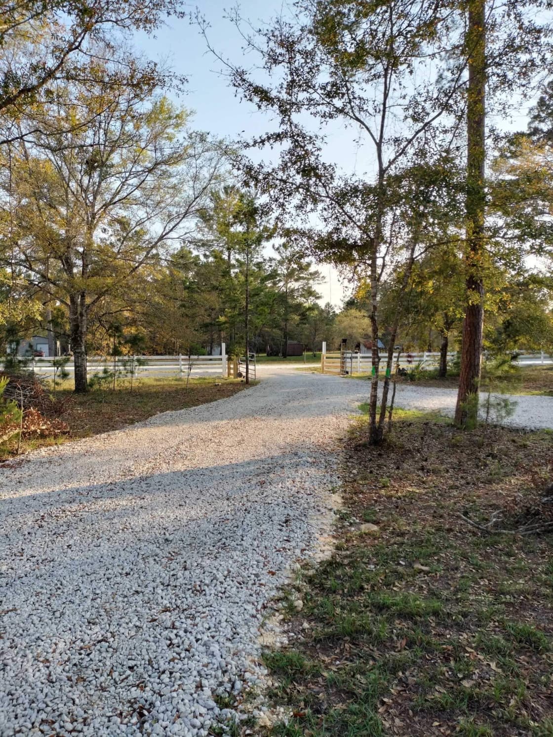Well maintained gravel driveway and RV sites.