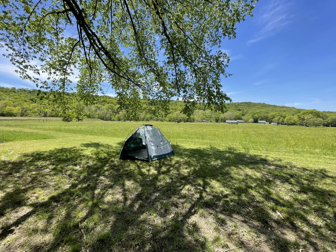 Treeline RV campsite