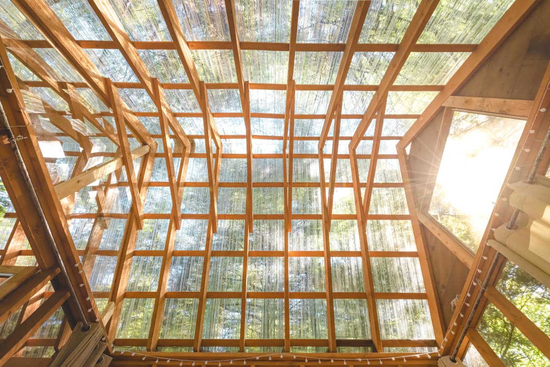 A clear roof lends a treehouse feel. Equally enjoyable during rain or shine!