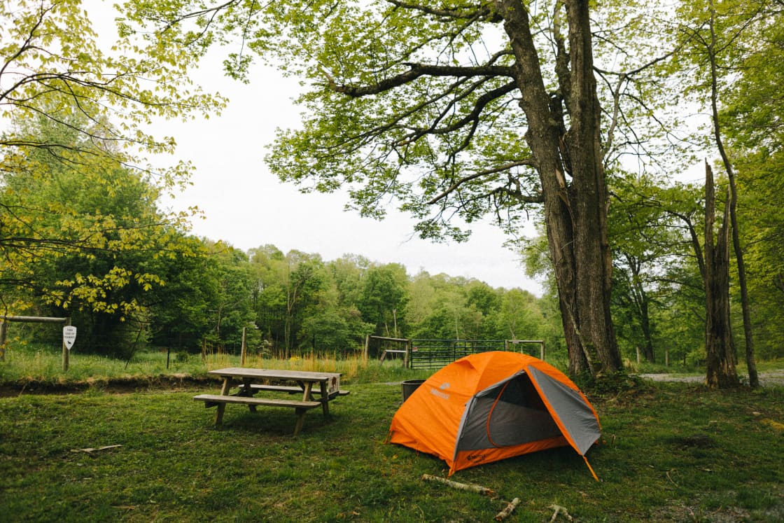 campsite 1 
