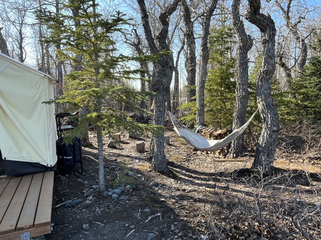 A hammock off the side of the tent, a solo stove and logs to sit on behind this.