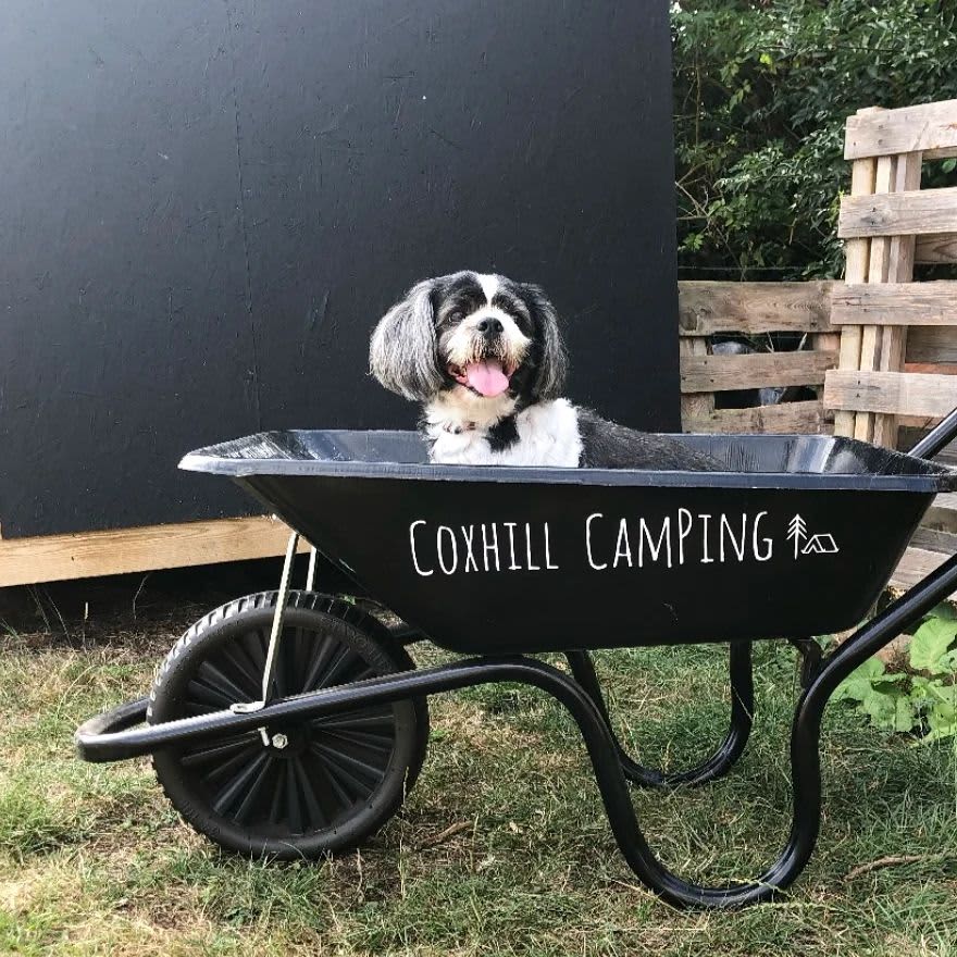Coxhill Camping