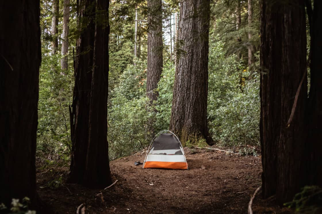 Redwood Paradise Camping