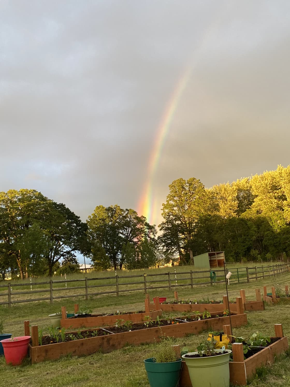 One of the amazing rainbows we’ve been lucky enough to capture 🌈 

For more photos and info of our farm, and check out our next  Glamper listing :)