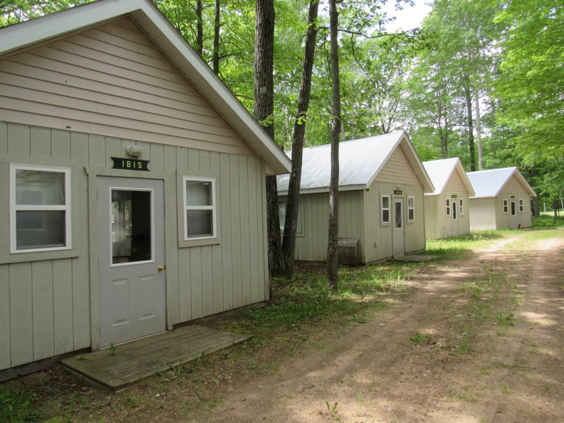 Large Wood View Cabins