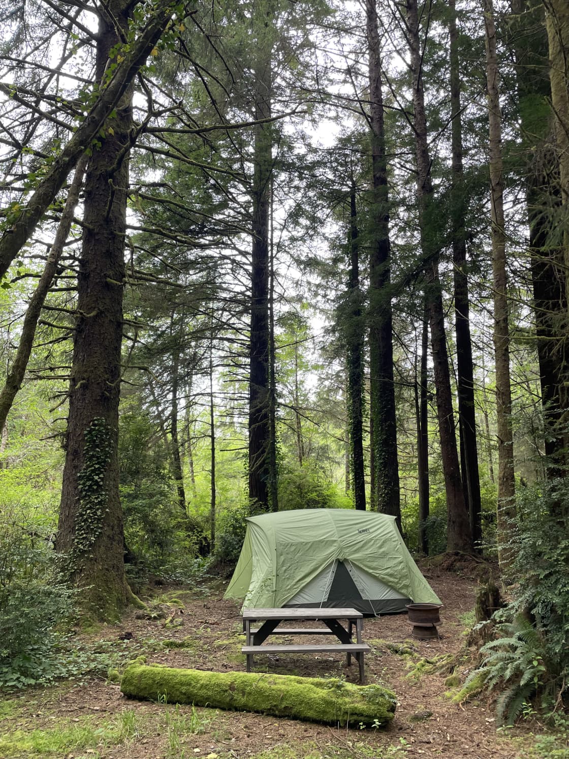 Mystic Forest Campground