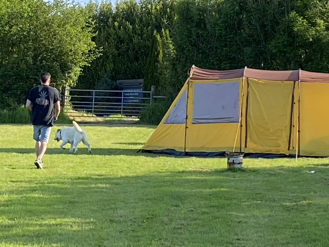 Tents and dogs welcome