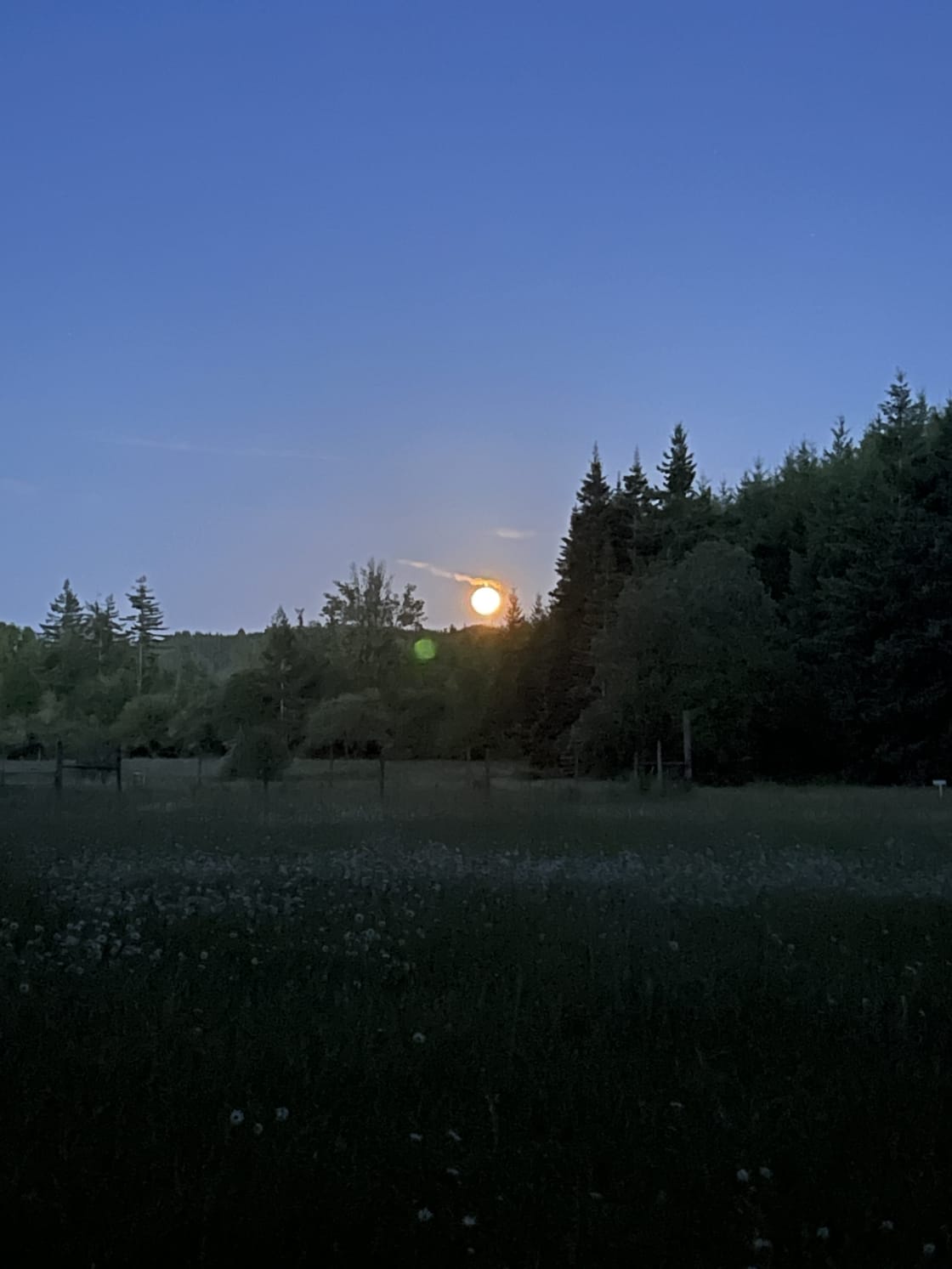 Moon rising over the hill