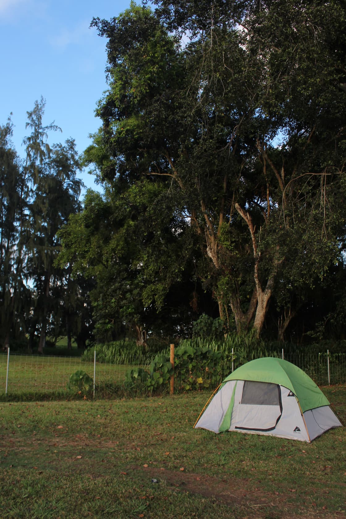 Maleka Farm: Camper-van & Tent