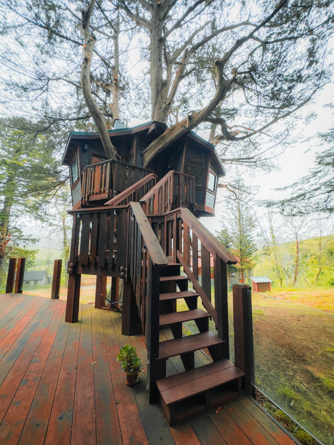 Front of treehouse