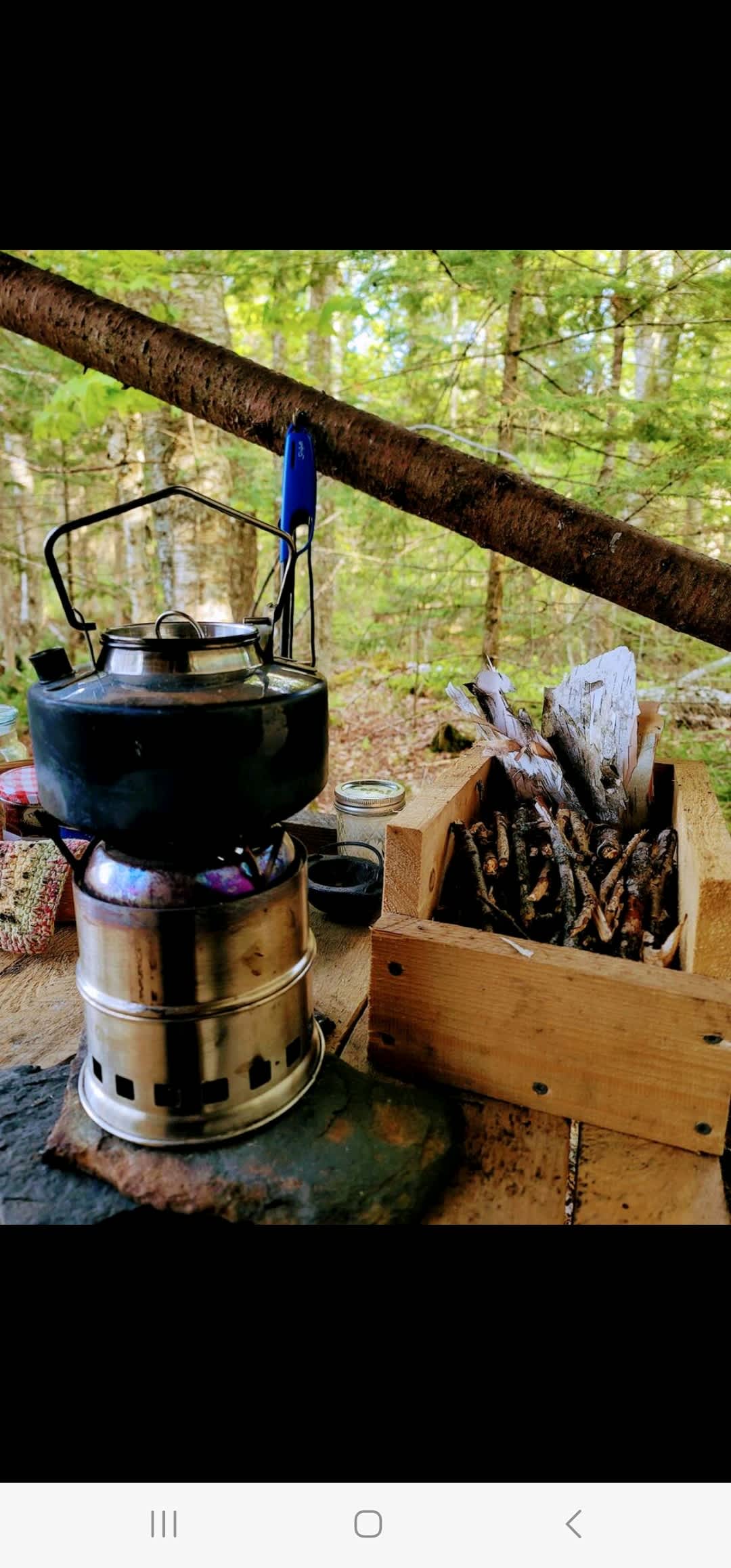Kettle and wood fired burner