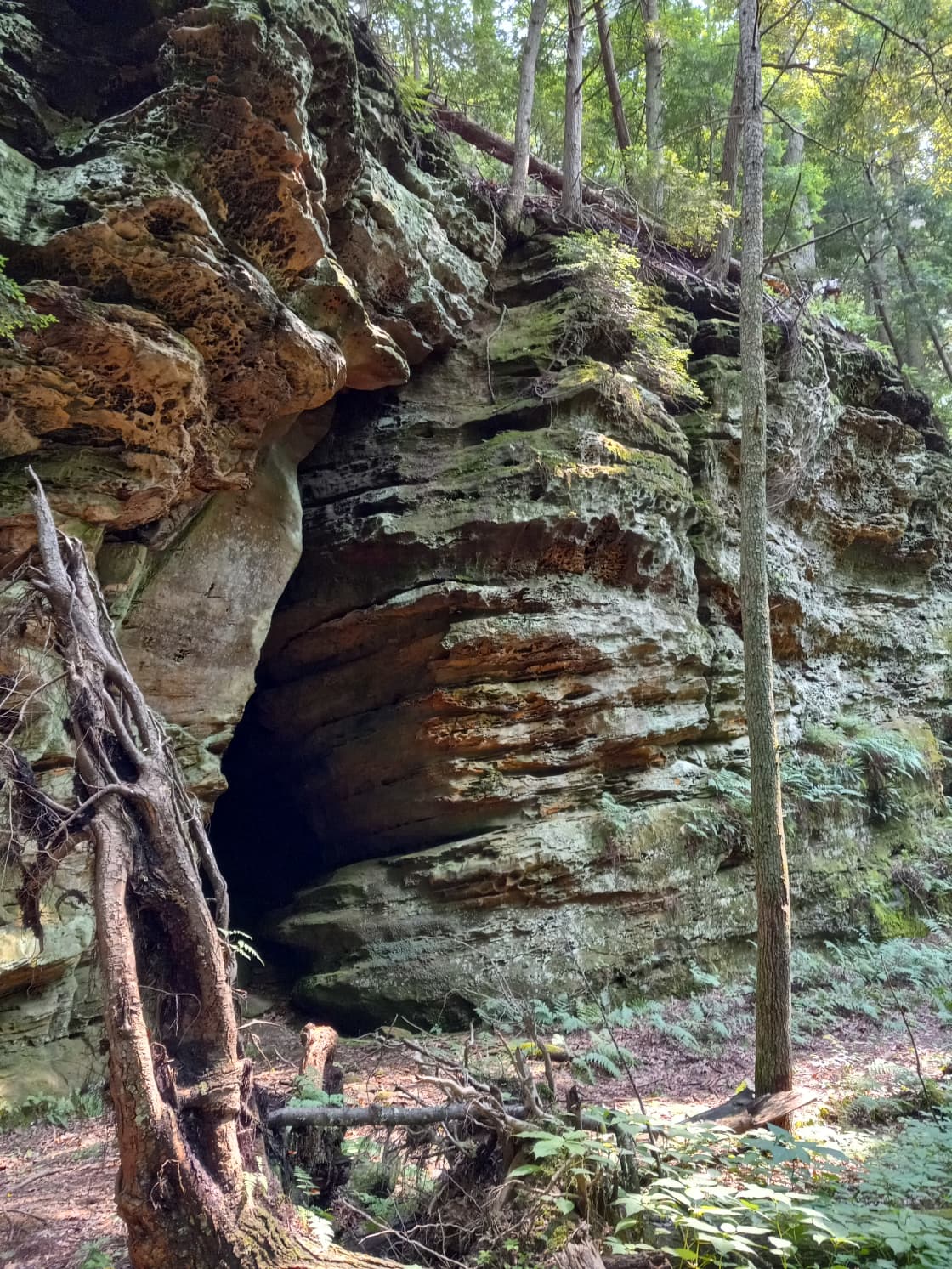 Jim's cave