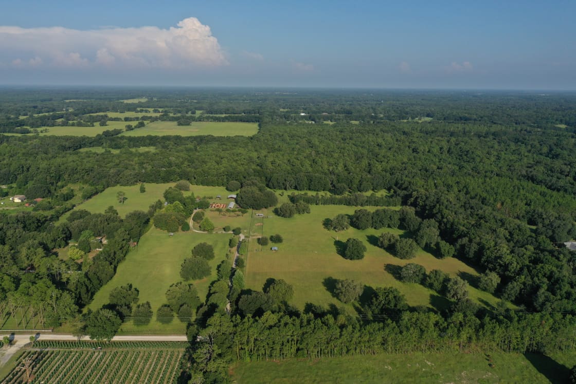 30 Acres of Natural Florida Beauty