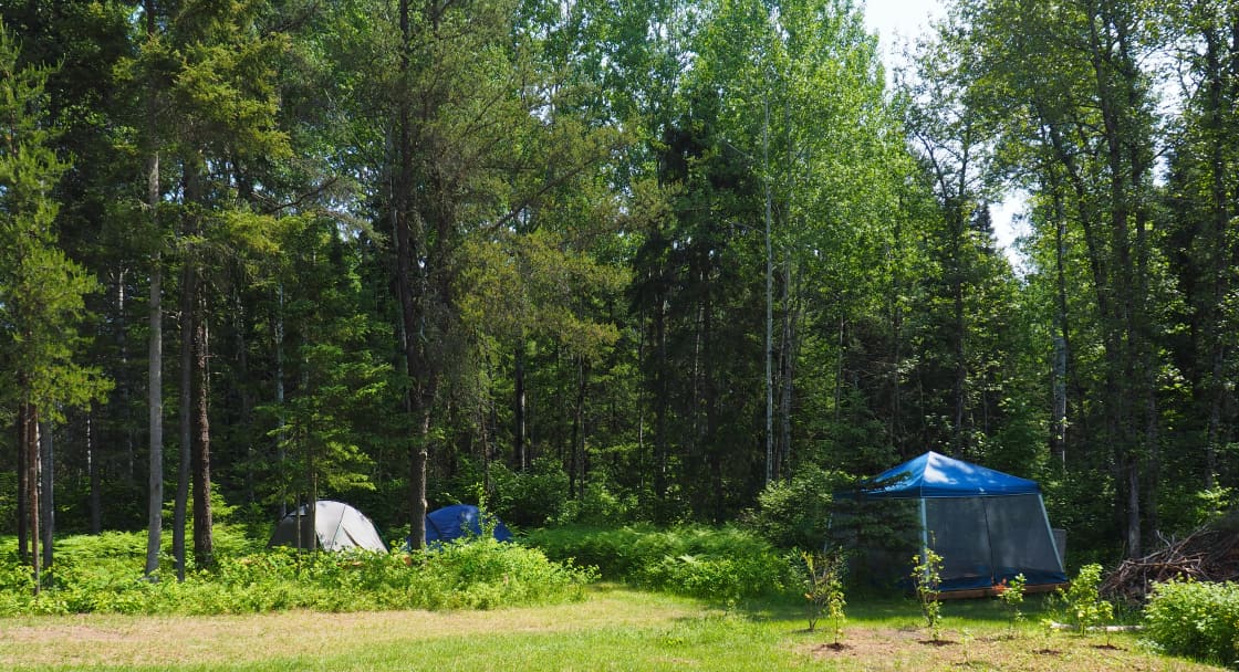Camping Spot + Tents & Camping Gear