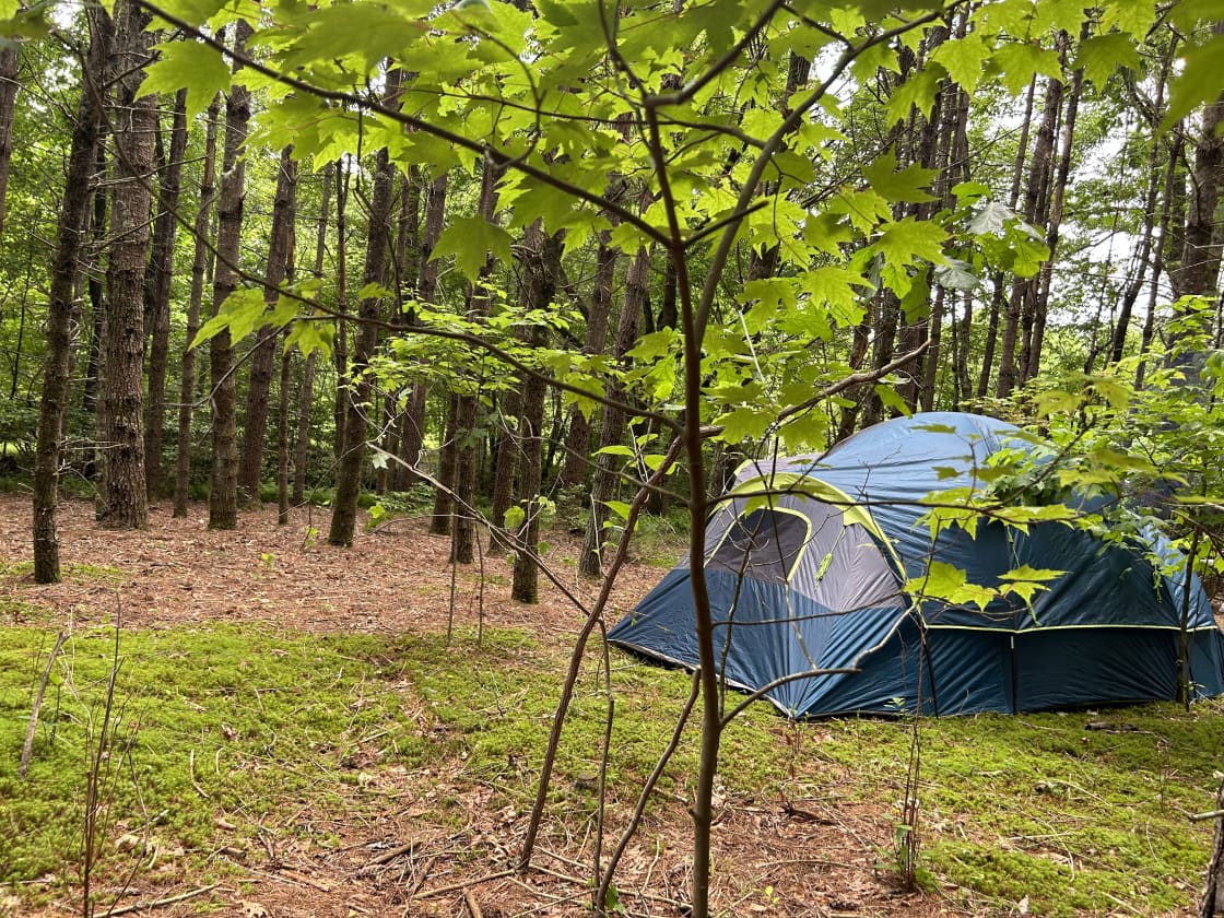 Pitch your tent on one of nature’s cushions. 