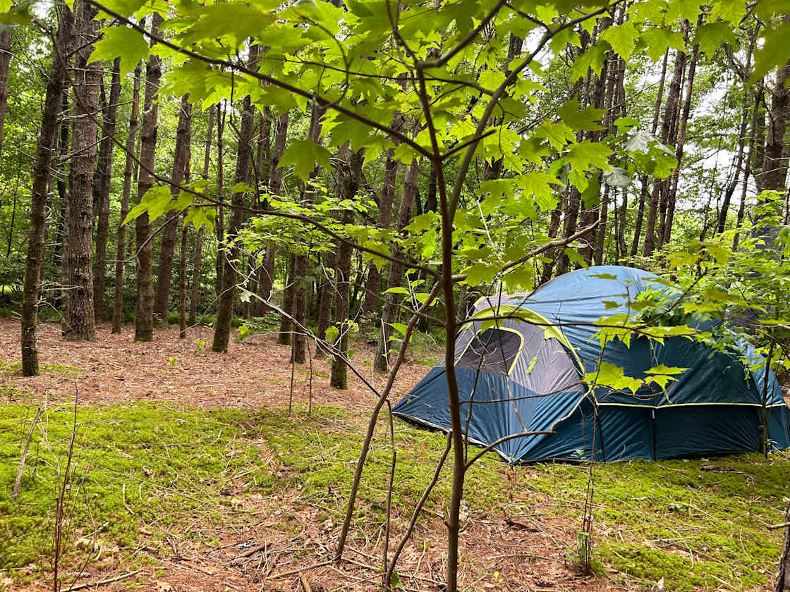 Hidden Acres Mountain Camping - Hipcamp in Balsam Grove, North Carolina