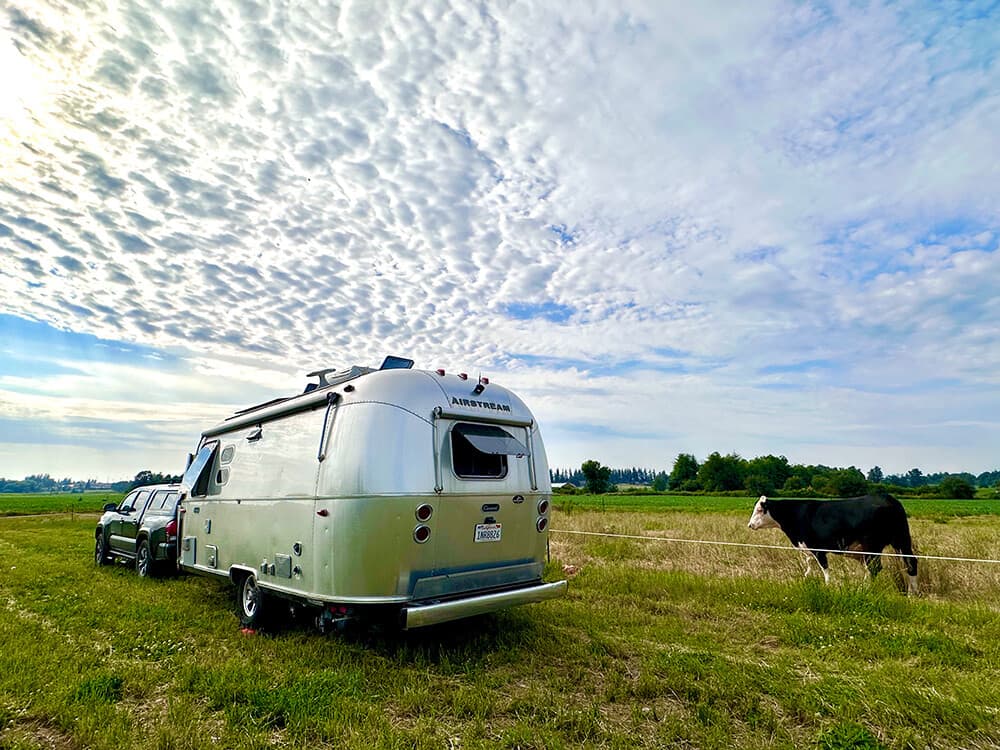 Wagyu Whispers Campsites In Lynden