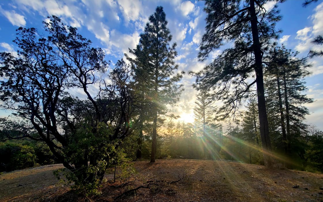 The Perch: Hilltop views @ Yosemite