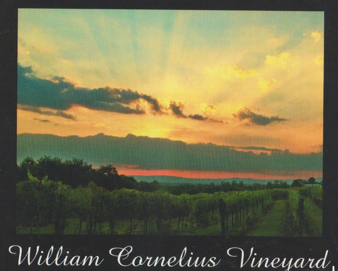 Welcome to William Cornelius Vineyard