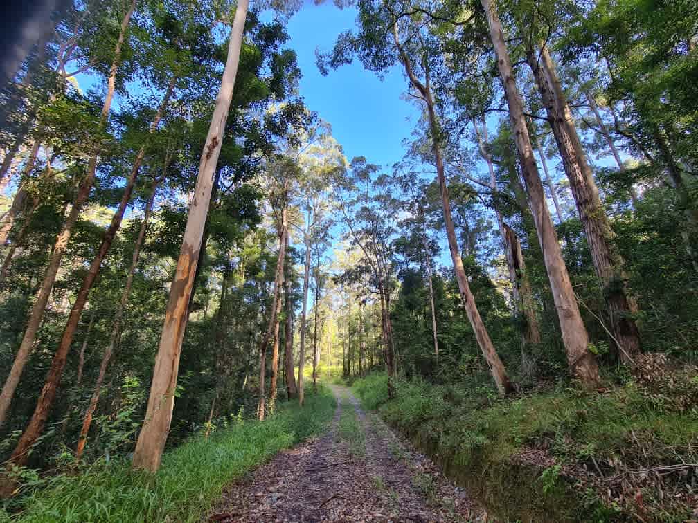 Gatherer's Ground Hipcamp in Hannam Vale, New South Wales