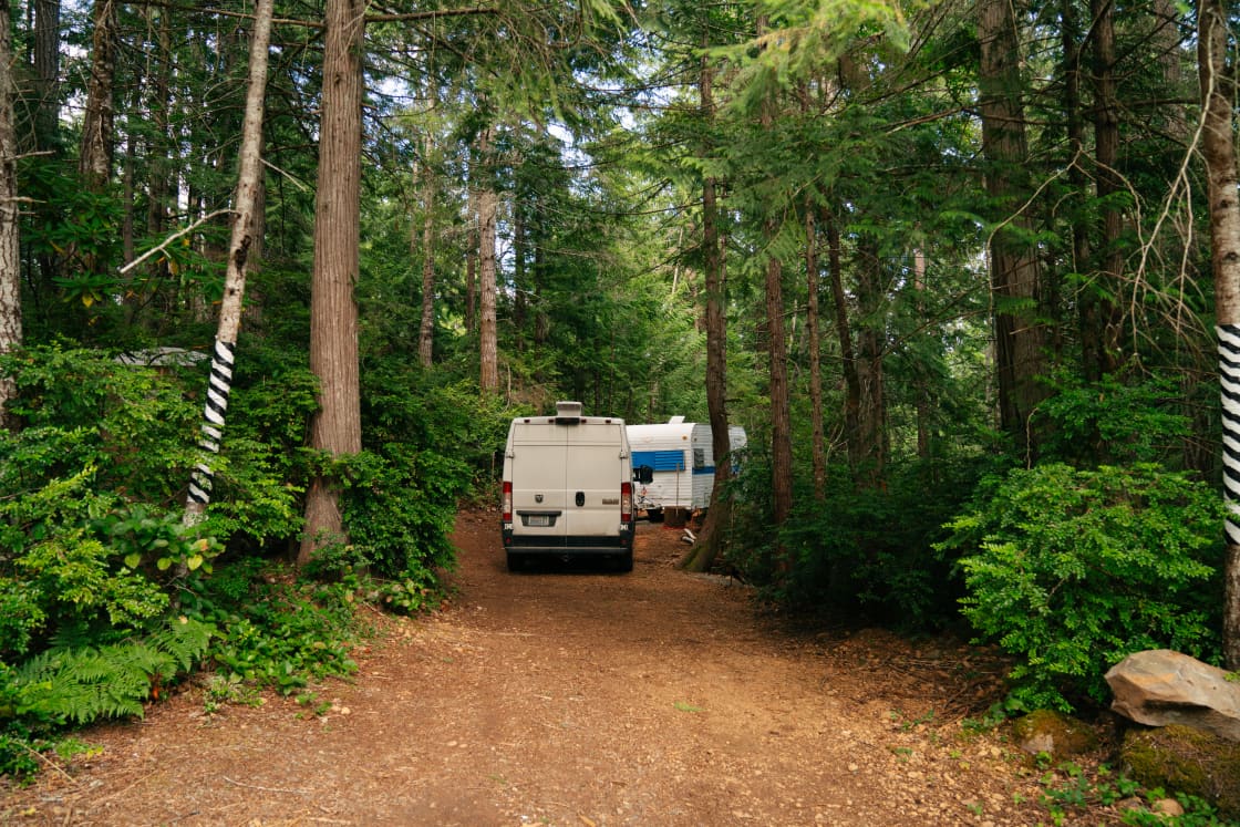 The driveway for the campsite