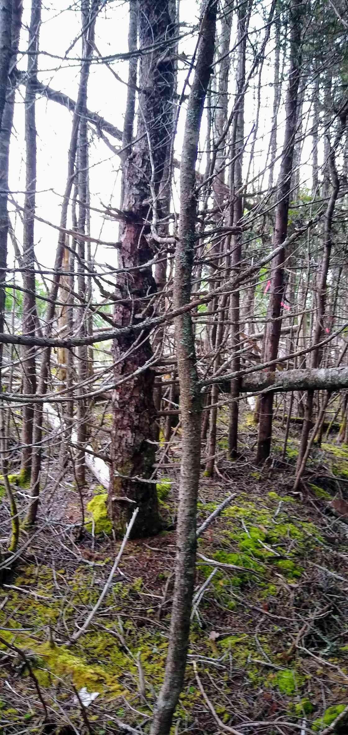 Kaia's lake home Hipcamp in Framboise Intervale, Nova Scotia