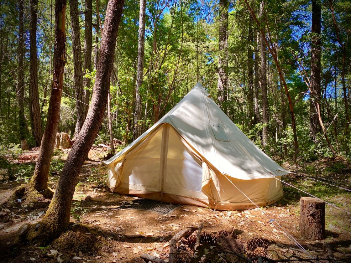 Our 10ft Bell Tent listed as the "Laugh out Loud" site, located near 2 outhouses and picnic tables and sink but still tucked away in a beautiful spot.