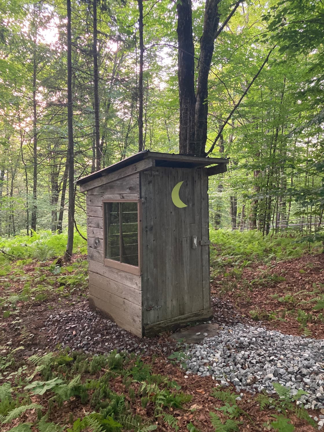 Maple Hollow Shelter