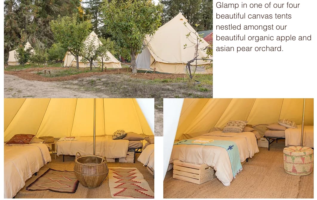 Comfy glamping tents