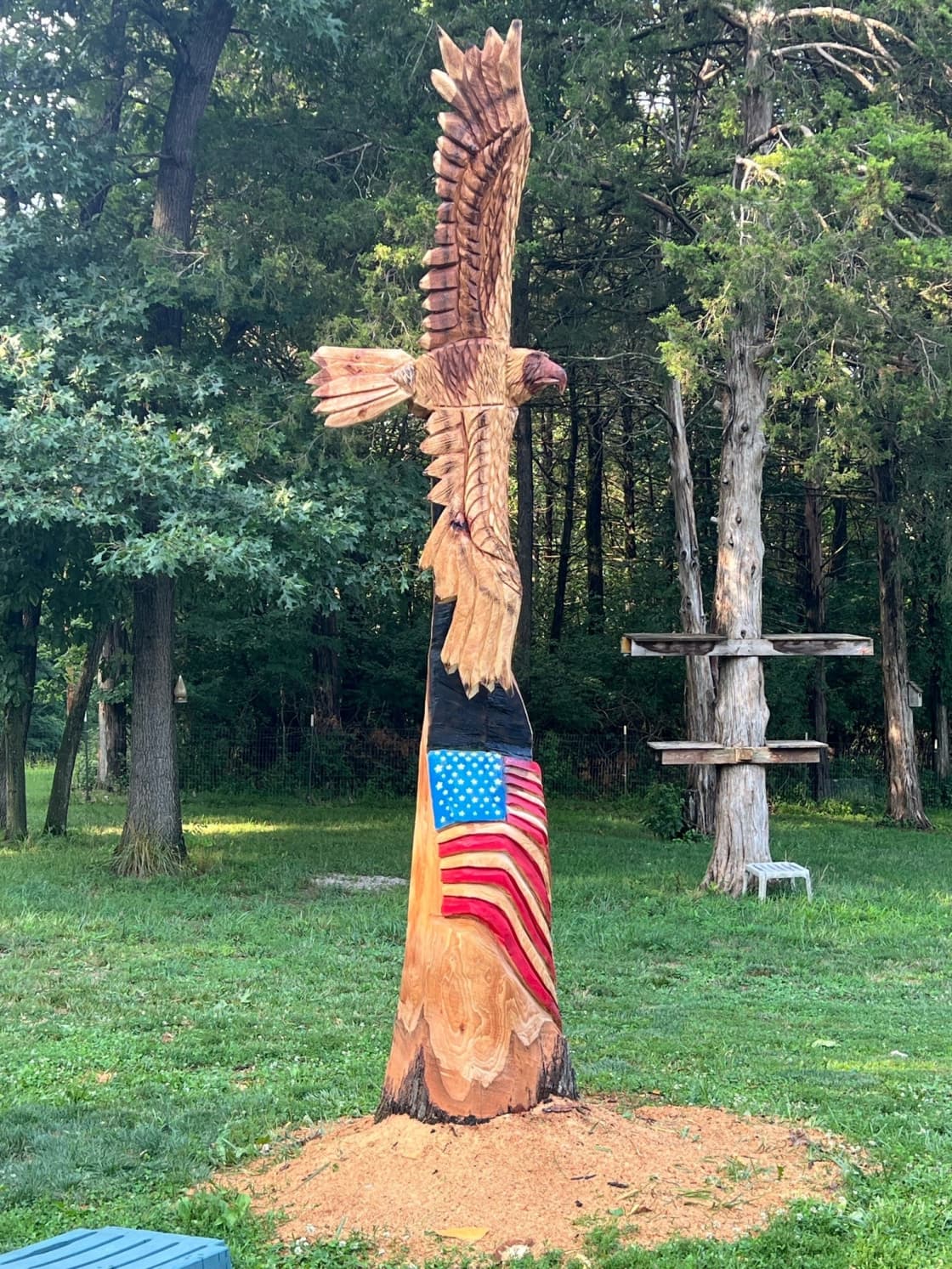 Soaring eagle sculpture on our property.
