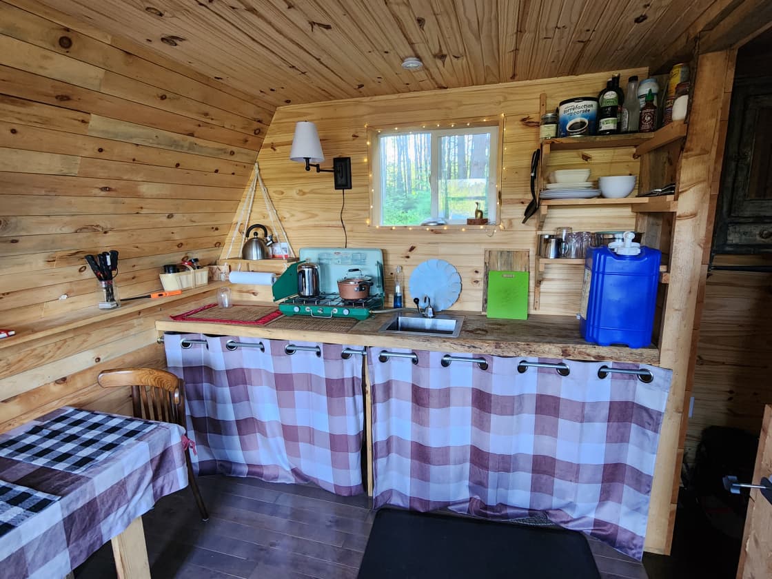 Pine Forest Camping & Glamping