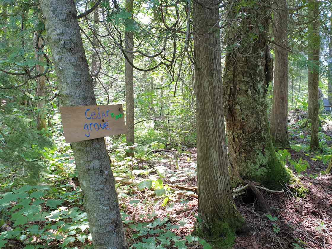 Pixieland Hipcamp in Greensboro Bend, Vermont