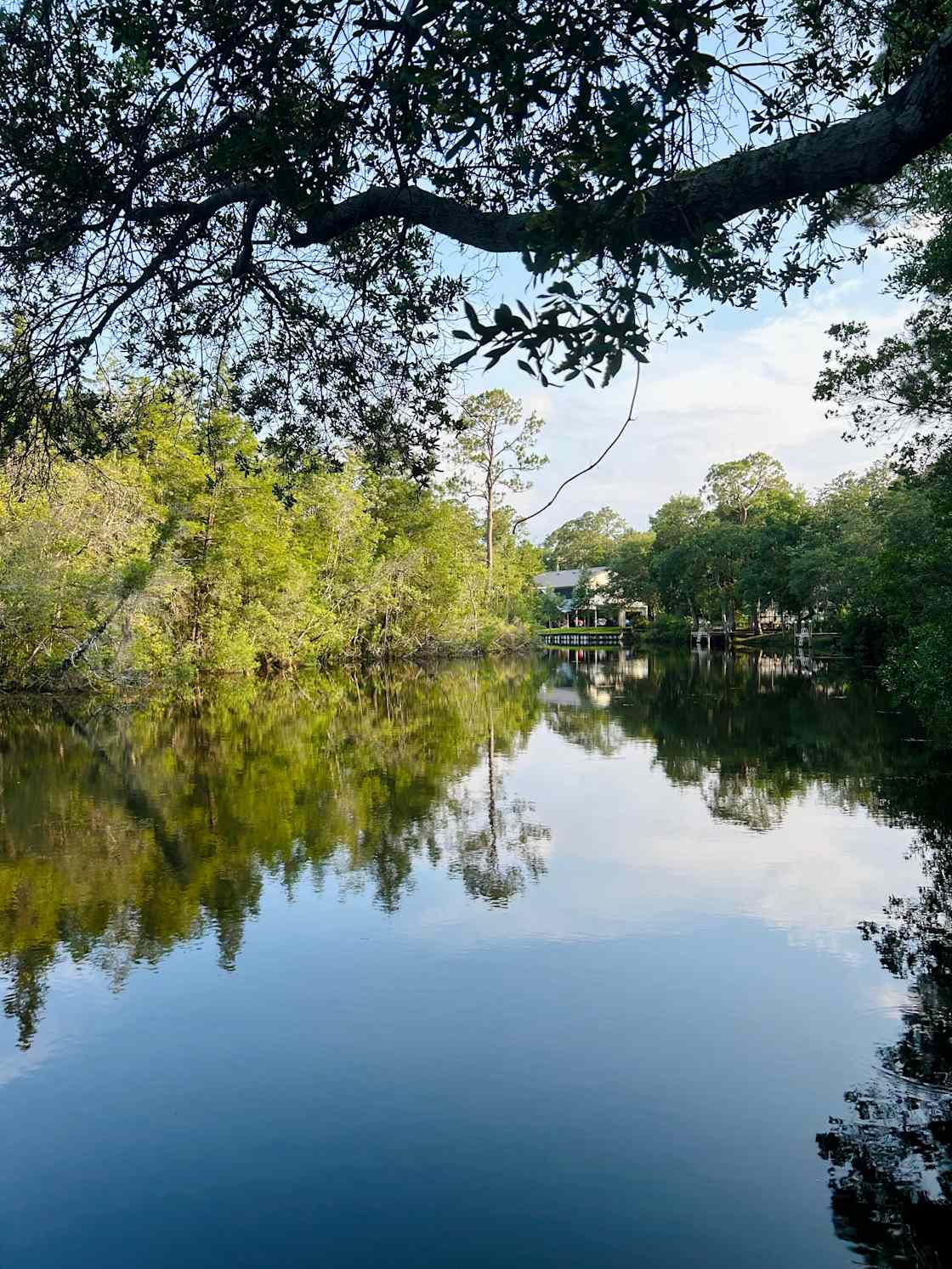 Blackwater River Shanty - Photo 2