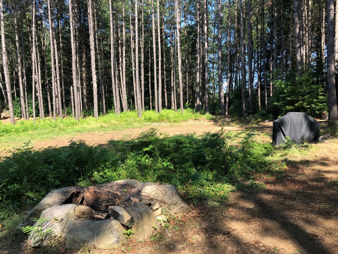 Level RV camp site with BBQ and fire pit. Beaver pond beyond BBQ below a gentle hill. 