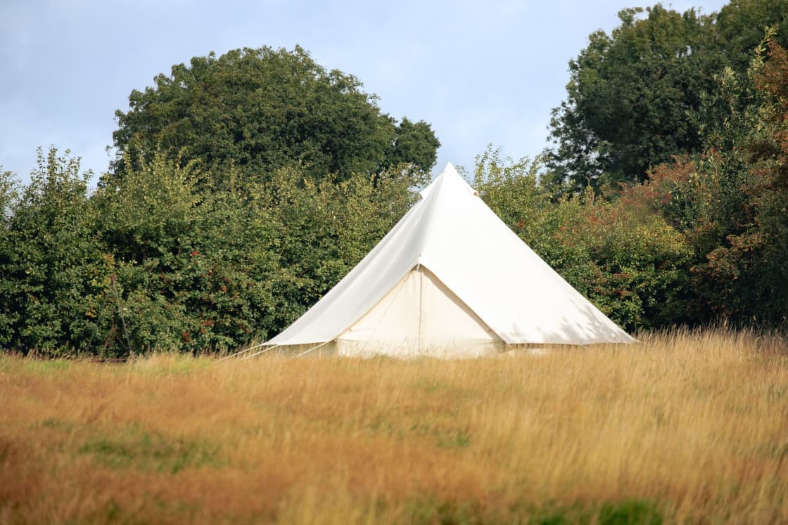 With options for camping or for hire of the bell tents on site, there were plenty of choices for a stay at Haddon Copse.