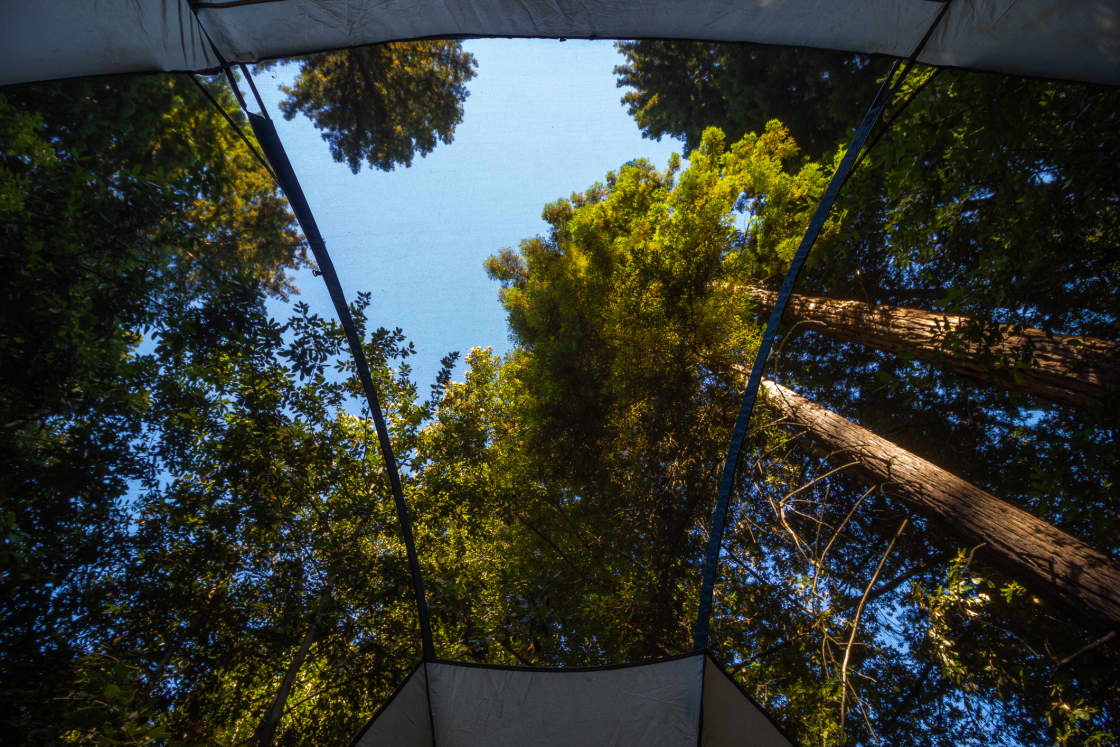 Redwood Paradise Camping
