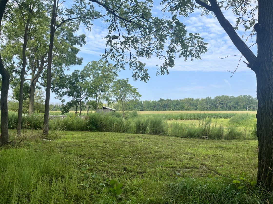 This photo shows Pondside Shaded Site (2) and Pondside Open Site (3) in the back. The pond is between the sites, surrounded by tall grasses, approximately 40’ x 60’. 