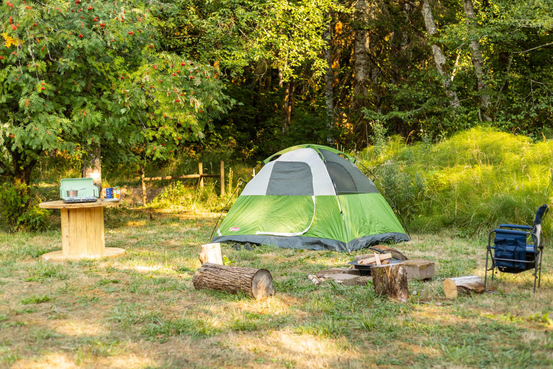 Tent Site with fire pit, log-chairs, and a table.