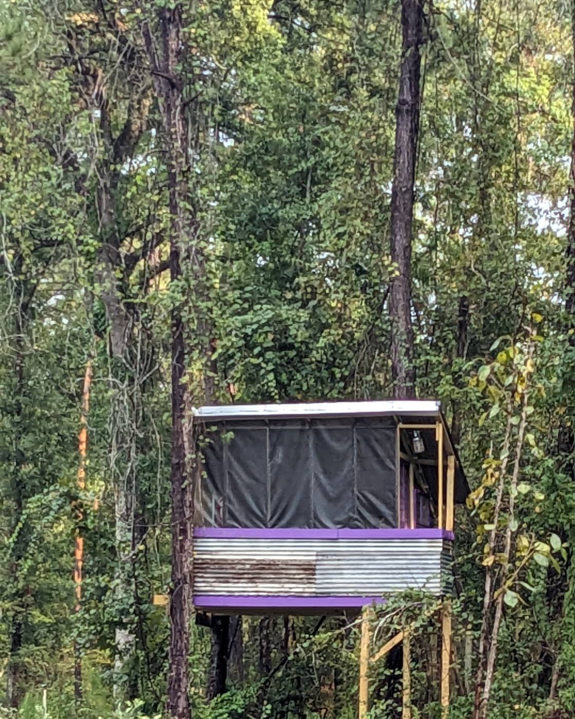 Our "recycled materials" treehouse looks out over 4 acres of blueberry fields.