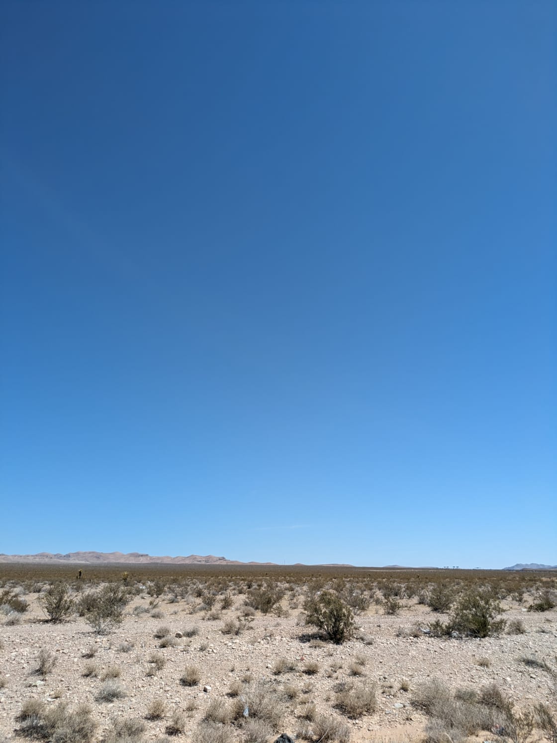 Pahrump Land, Desert Tranquility.